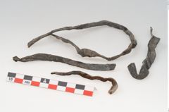 Etikett zu Rohhaut (NHMW-PRAE-125684)